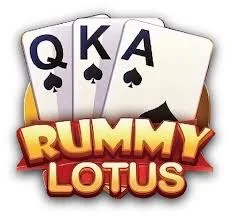 Rummy 51 Bonus 2024